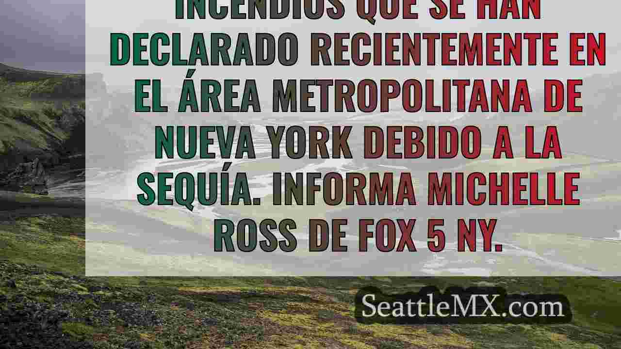 Últimos incendios forestales: Muere un