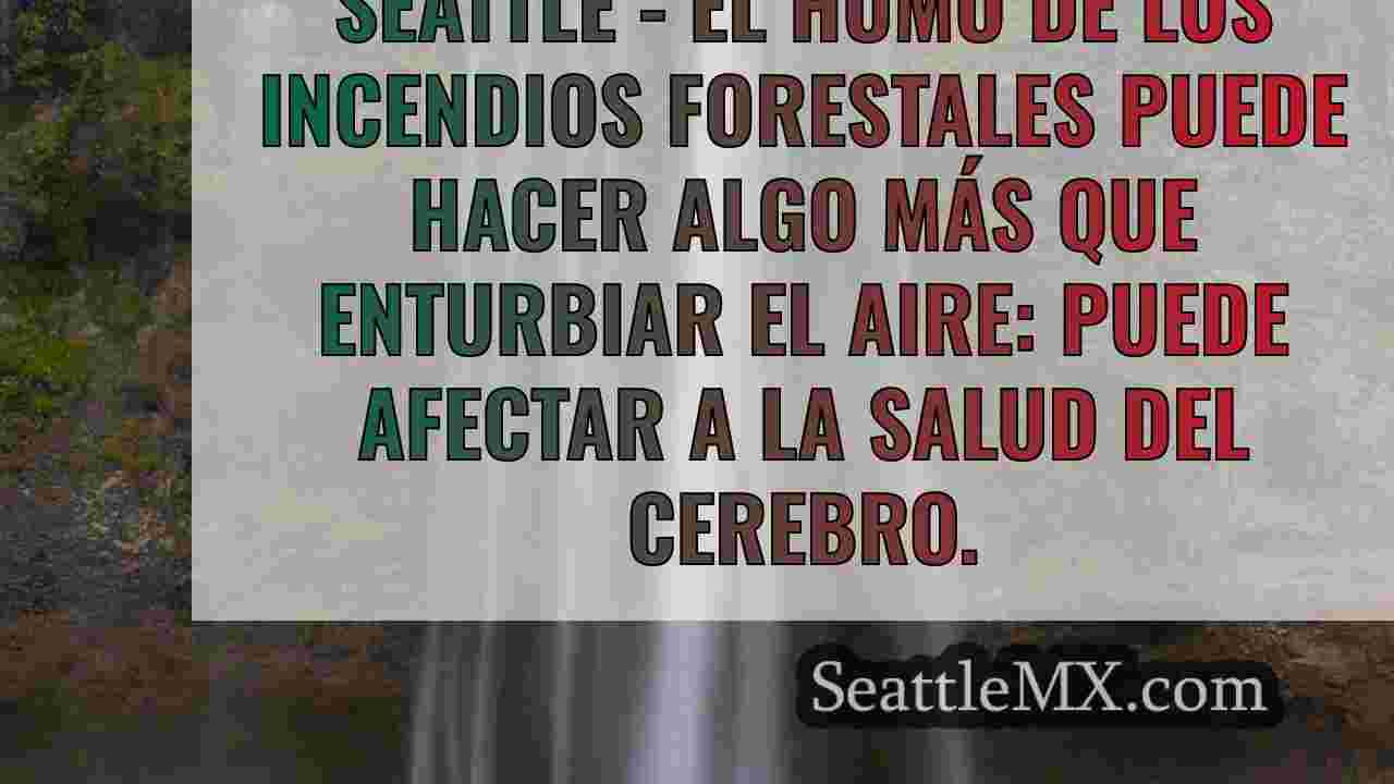 Noticias de Seattle SeattleMX