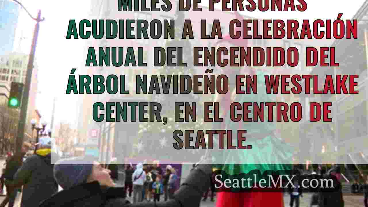 La ceremonia de encendido del árbol da