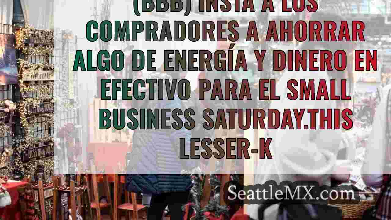 Small Business Saturday: una