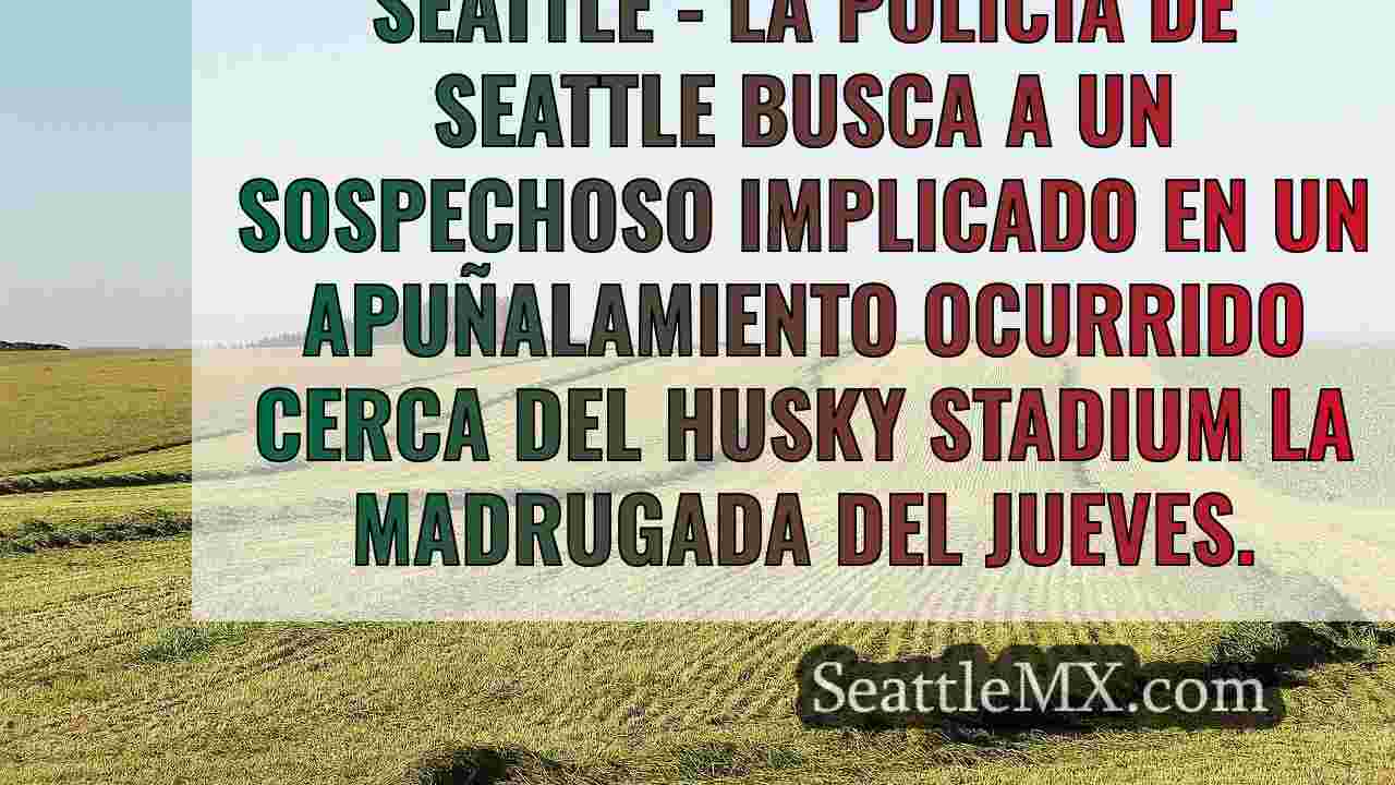 Noticias de Seattle SeattleMX