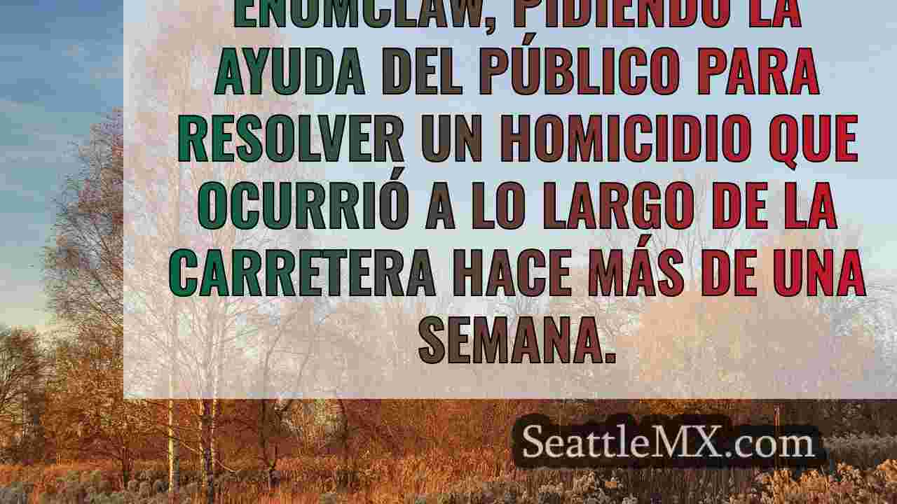 Noticias de Seattle SeattleMX