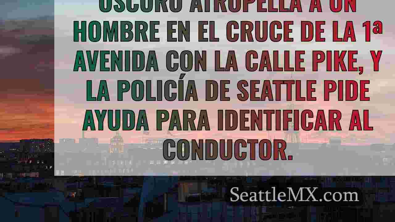 Noticias de Seattle SeattleMX