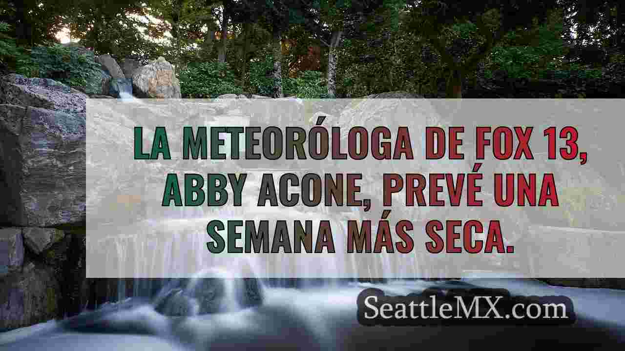 Noticias de Seattle SeattleMX
