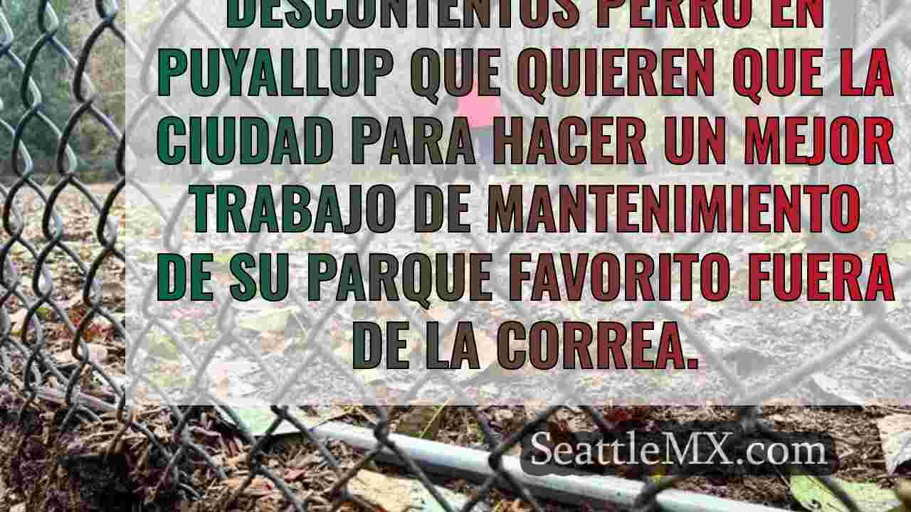 Noticias de Seattle SeattleMX