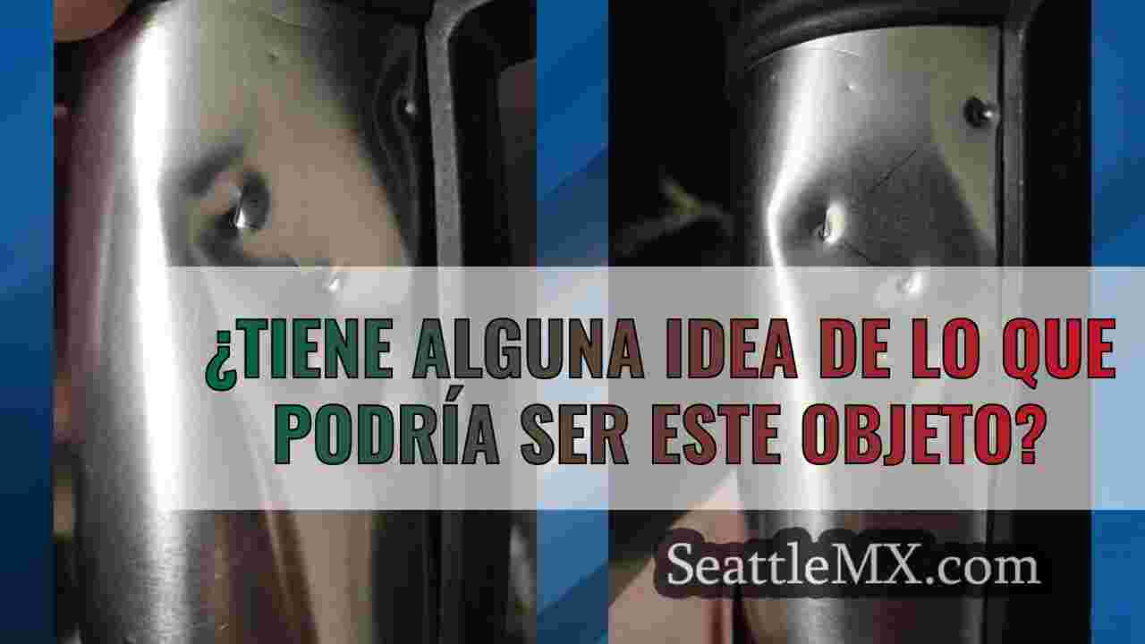 Mira lo que he encontrado: ¿Qué es este