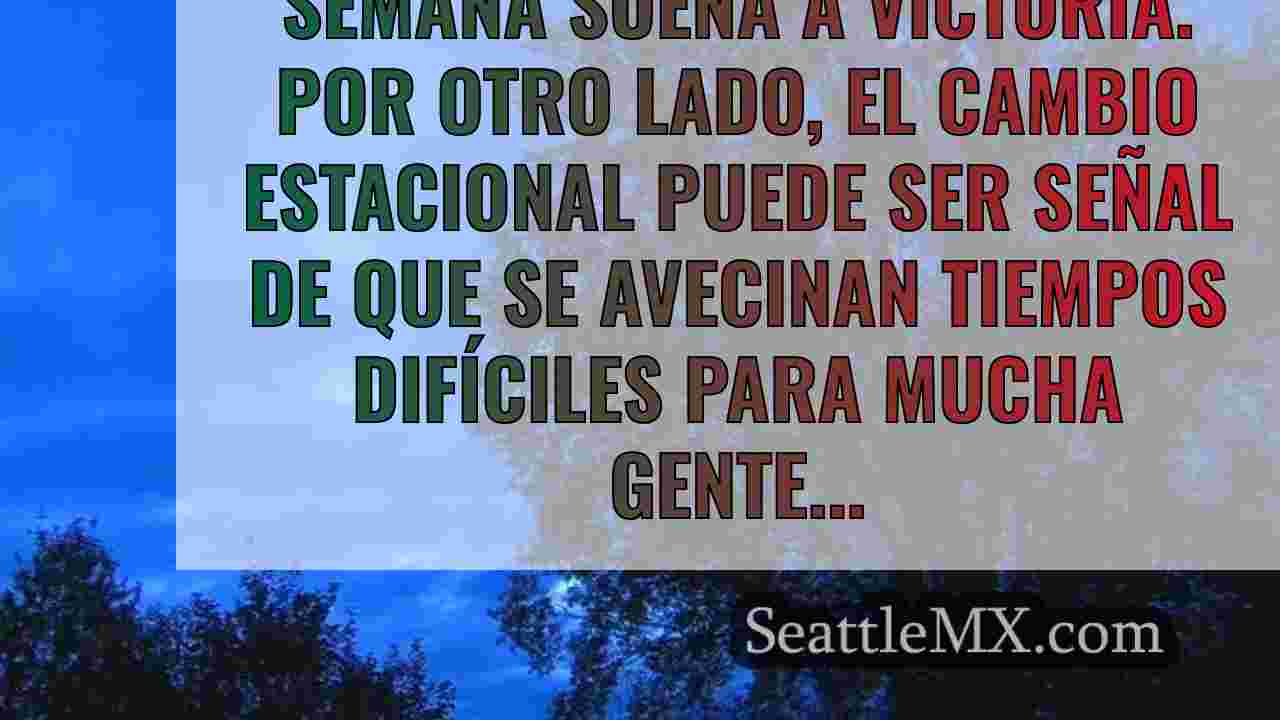 Noticias de Seattle SeattleMX