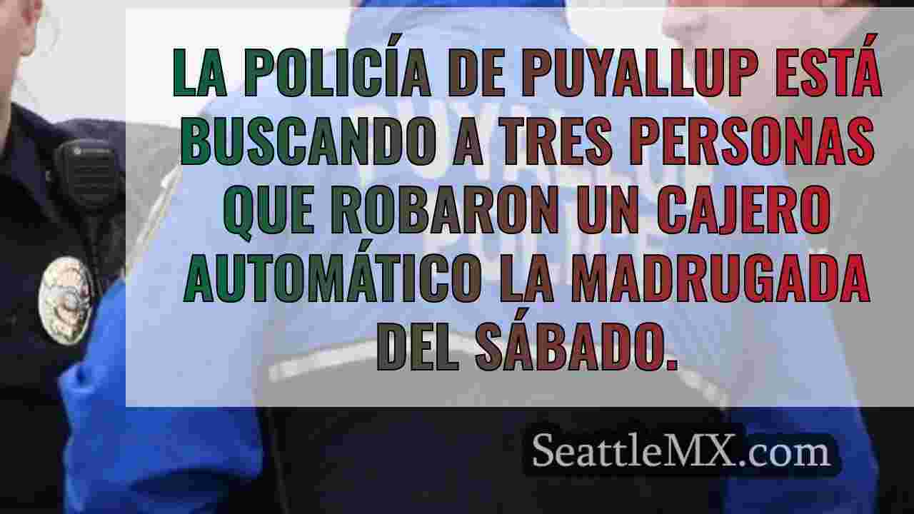 Los ladrones de cajeros automáticos
