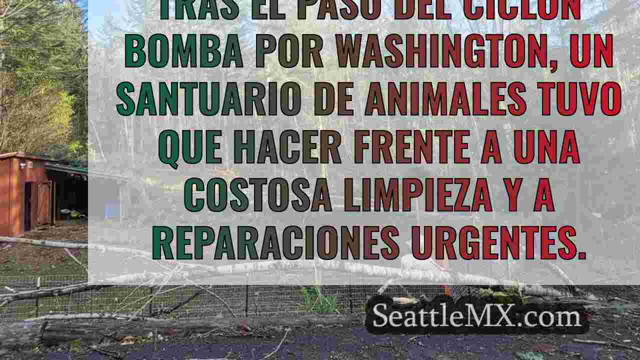 La tormenta deja sin electricidad a un