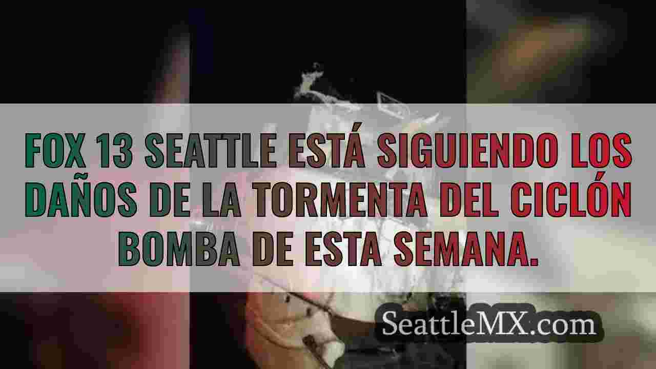Un tren de Amtrak empalado por un árbol