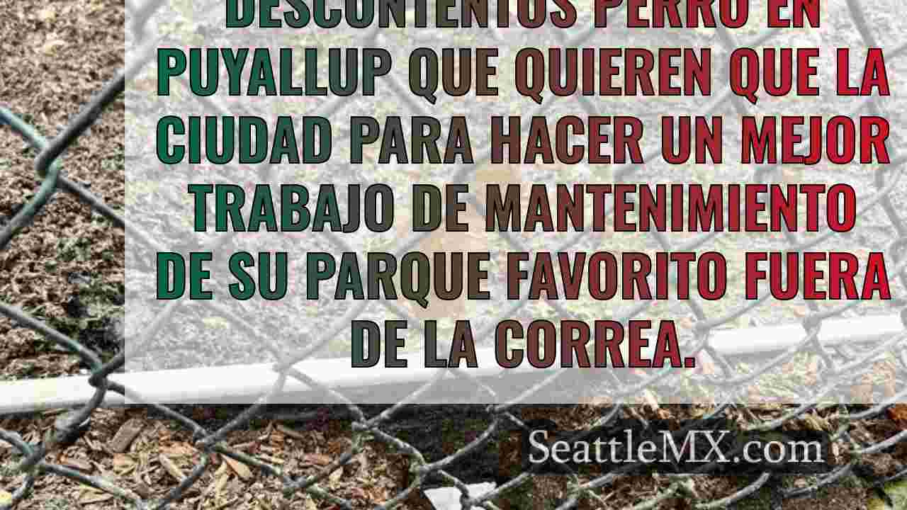 Noticias de Seattle SeattleMX