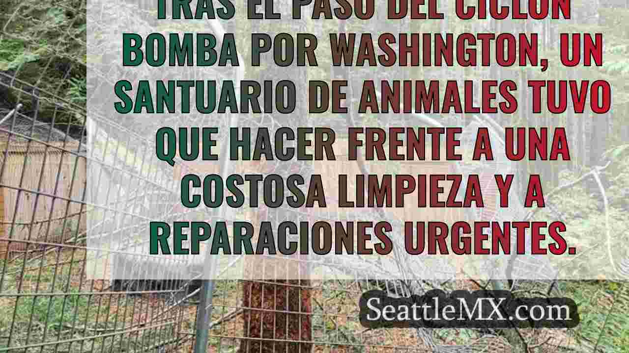 Noticias de Seattle SeattleMX