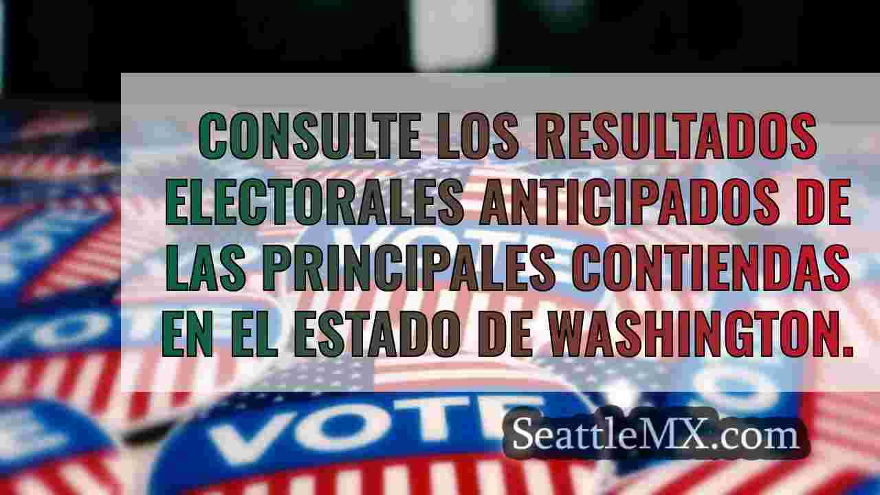 Consulta los resultados electorales