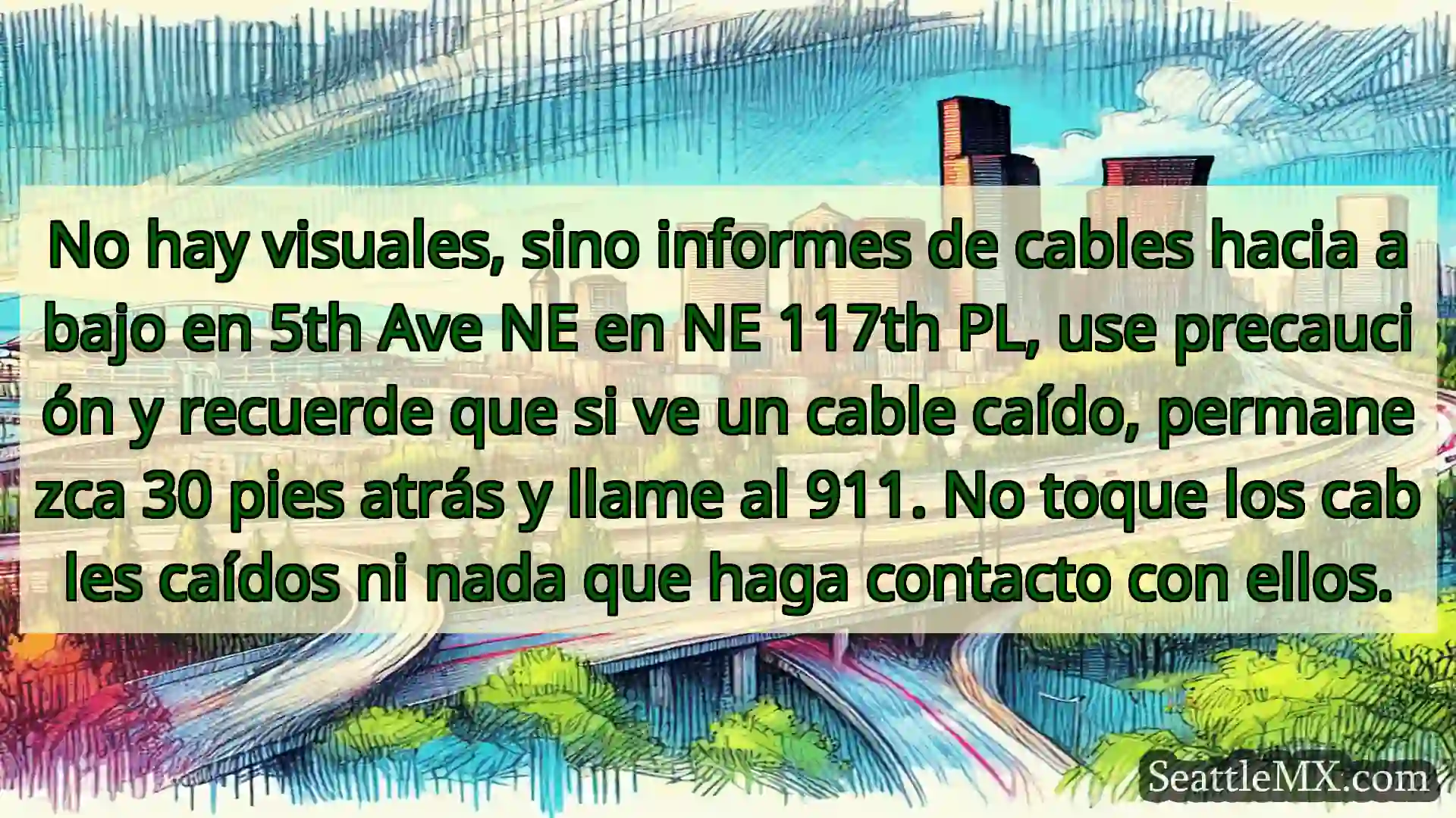 Noticias de transporte de Seattle No hay visuales, sino informes de