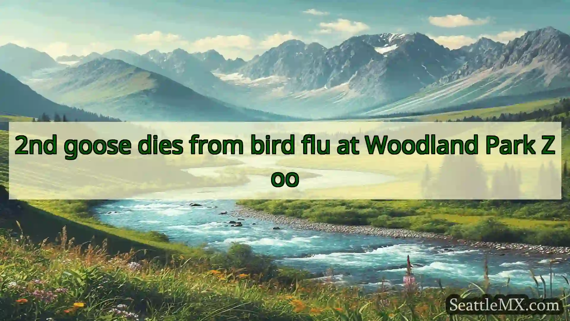 noticias de seattle 2nd goose dies from bird flu at