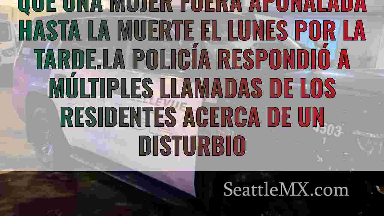 Una mujer muere apuñalada en Bellevue,