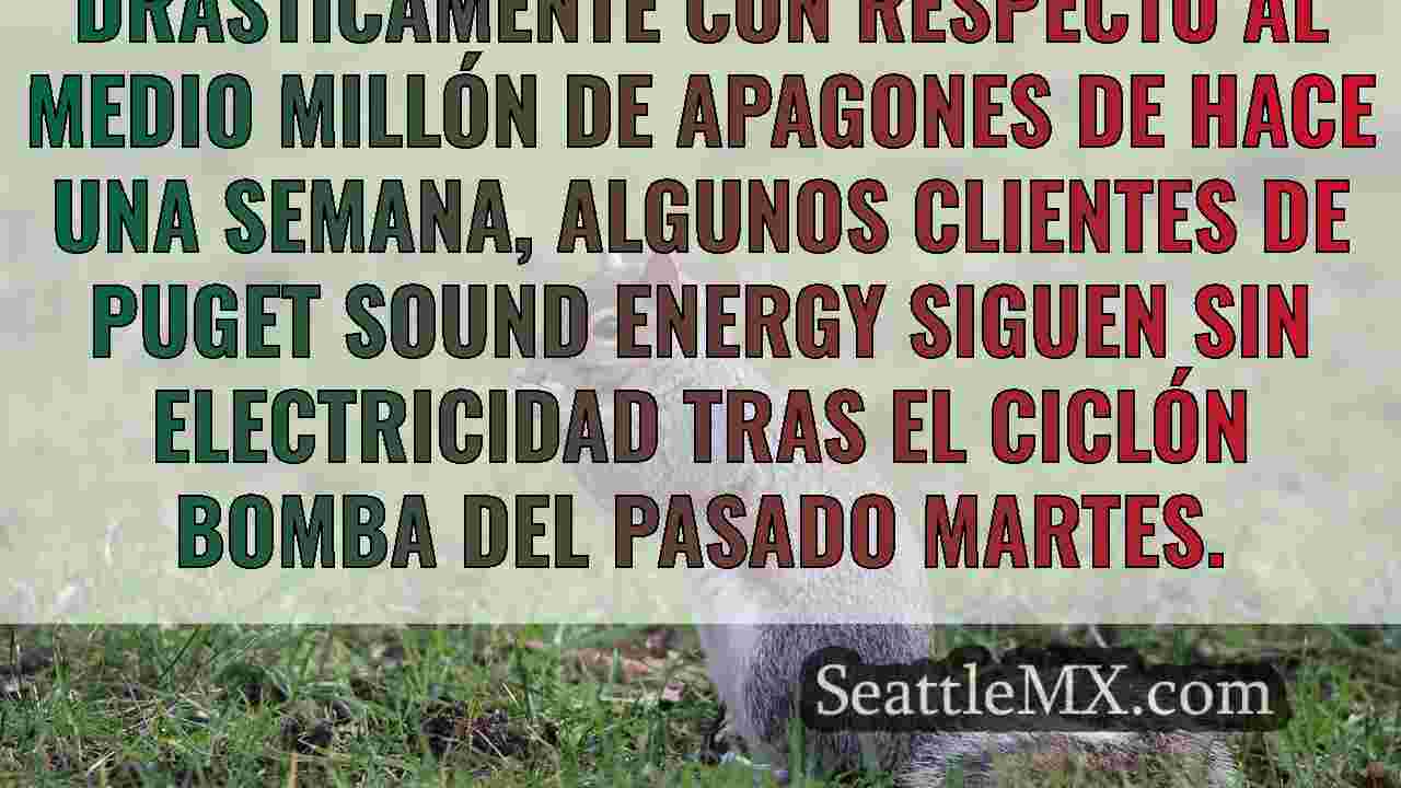 Noticias de Seattle SeattleMX