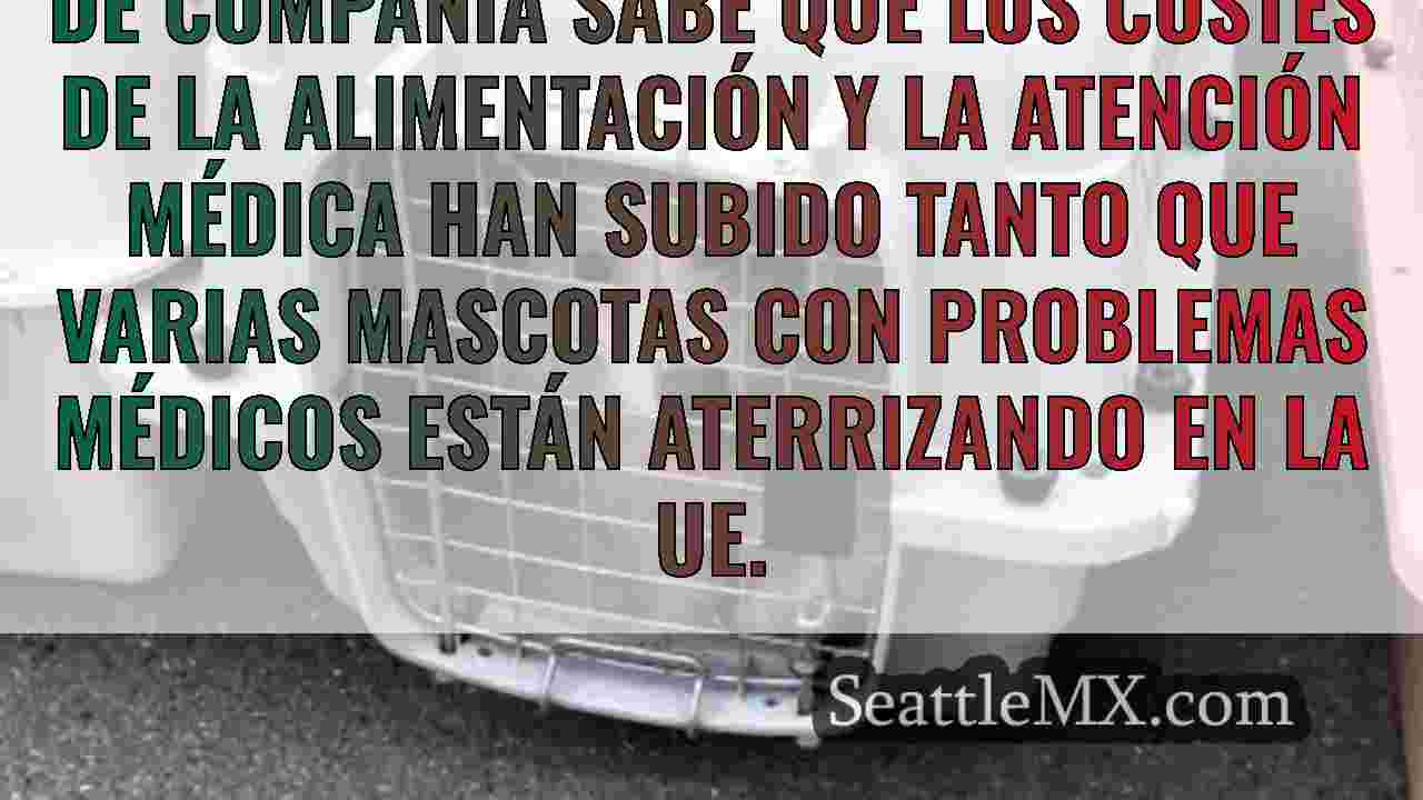 Noticias de Seattle SeattleMX
