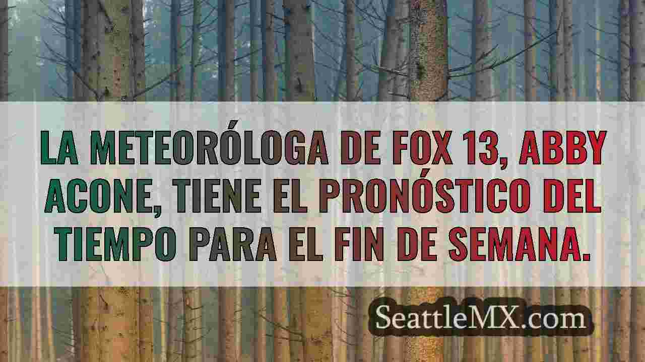 Noticias de Seattle SeattleMX