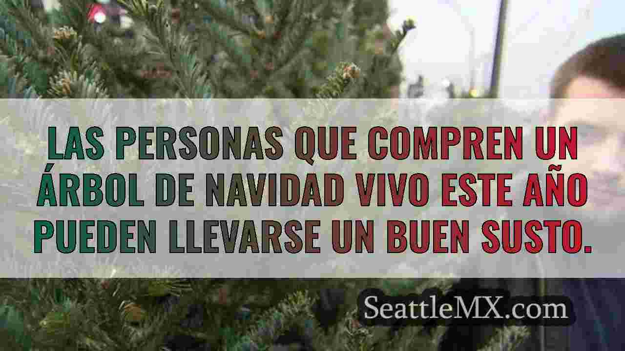 Noticias de Seattle SeattleMX