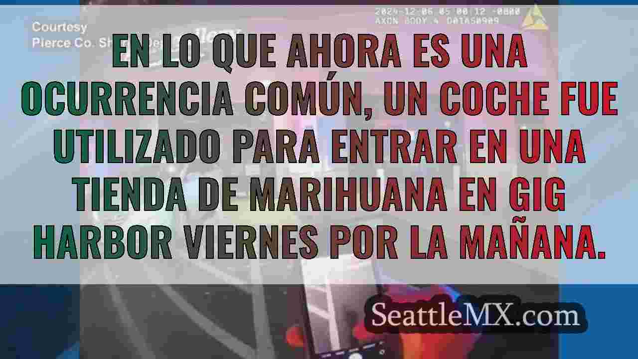 Noticias de Seattle SeattleMX