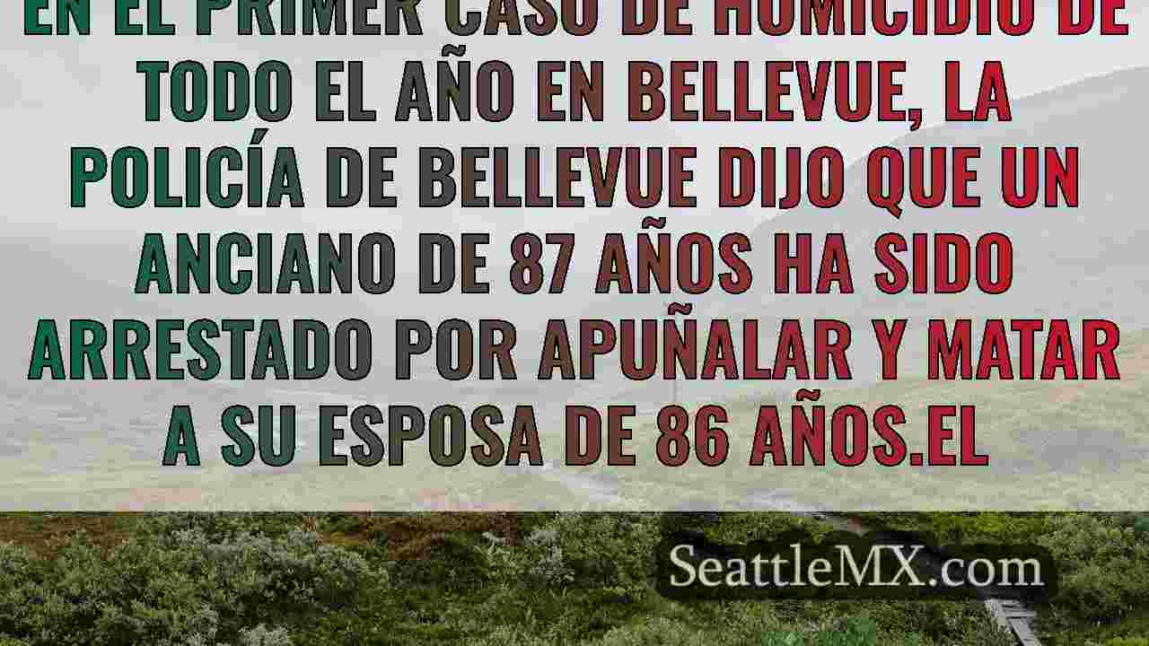 Noticias de Seattle SeattleMX