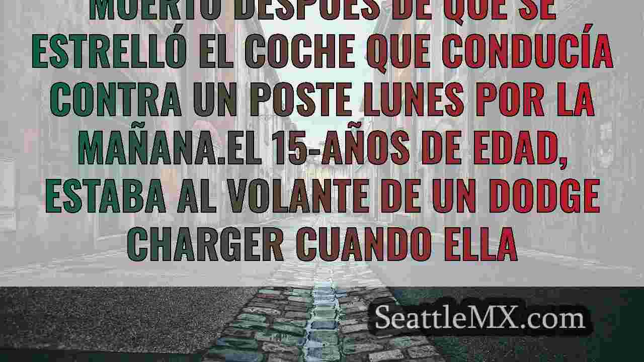 Noticias de Seattle SeattleMX