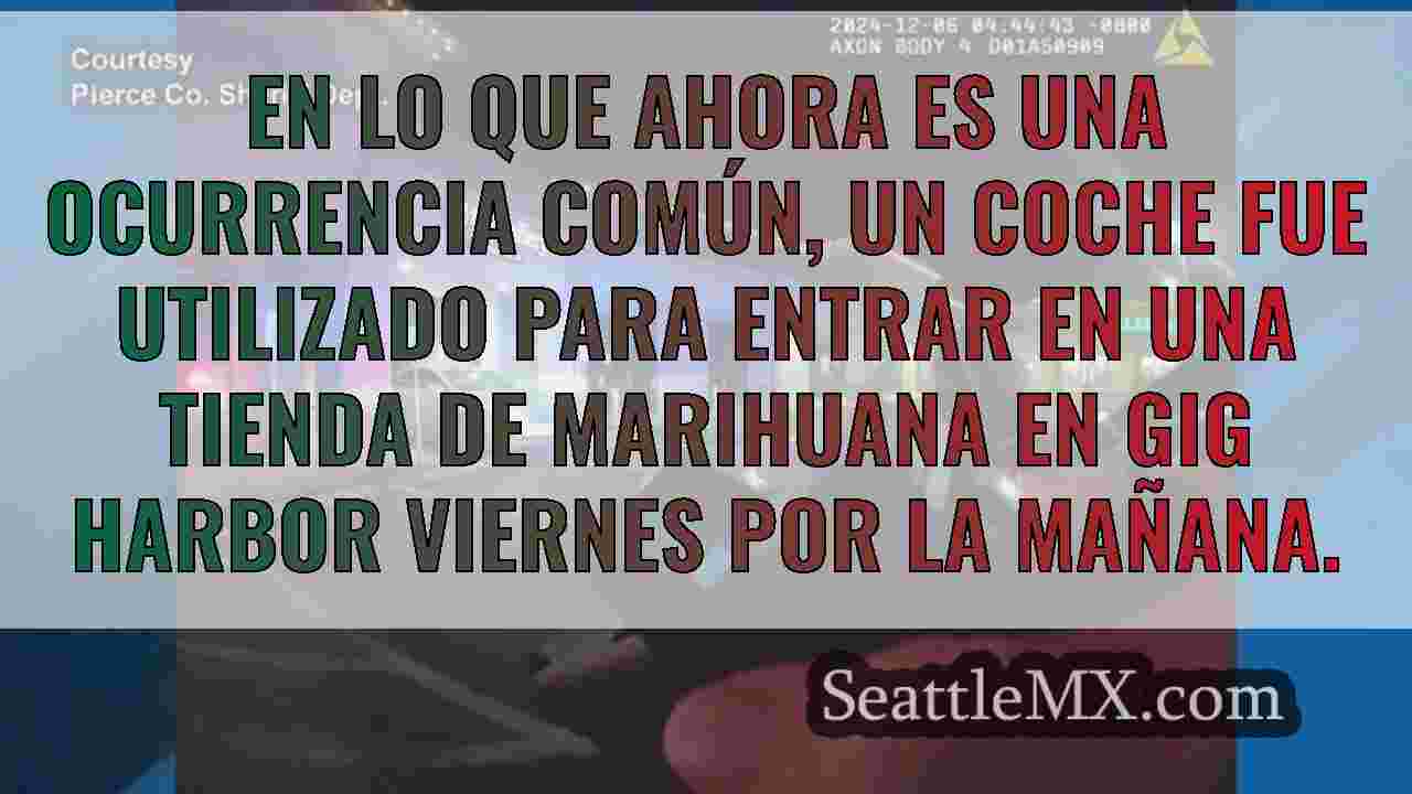 Noticias de Seattle SeattleMX