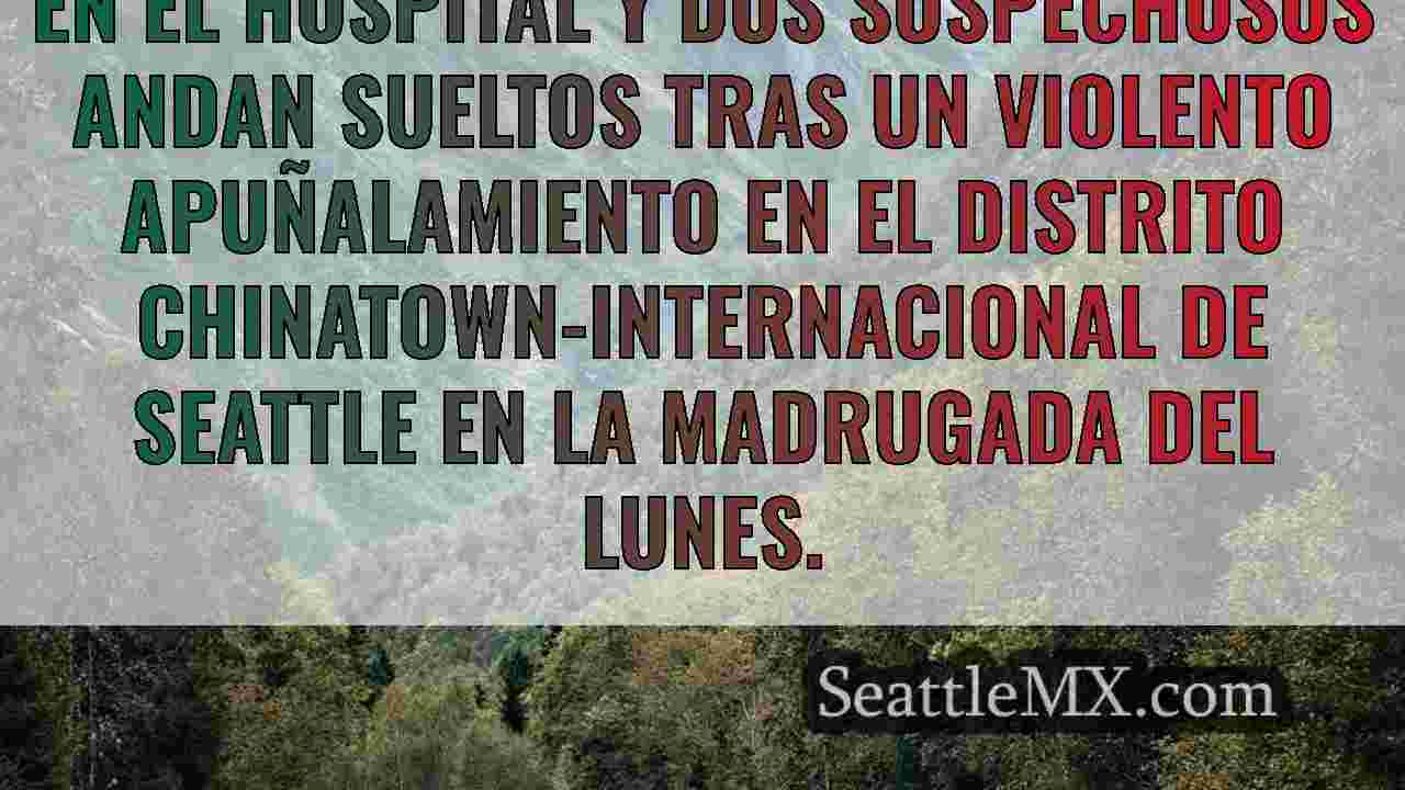 Noticias de Seattle SeattleMX