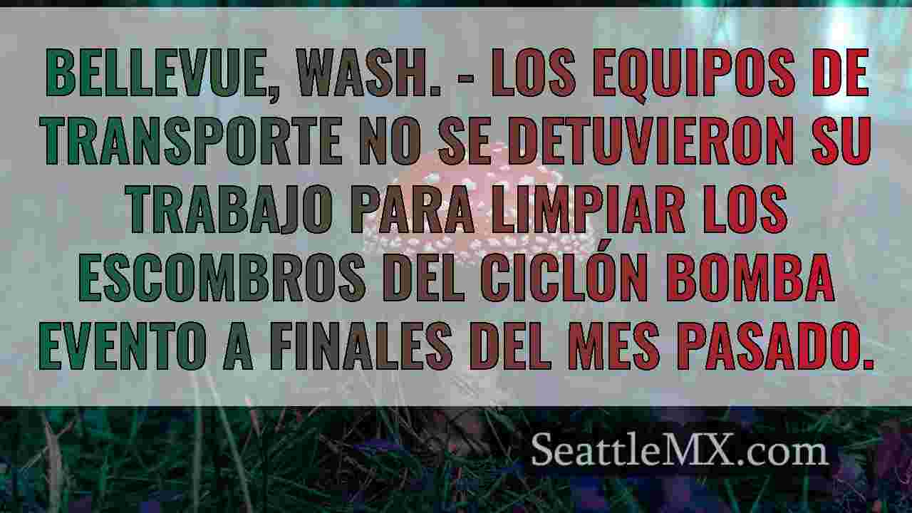 Noticias de Seattle SeattleMX