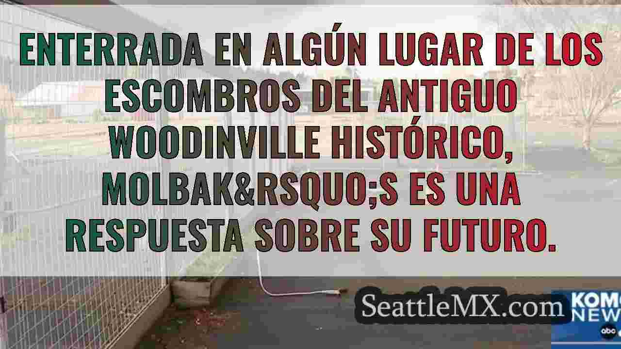 Noticias de Seattle SeattleMX