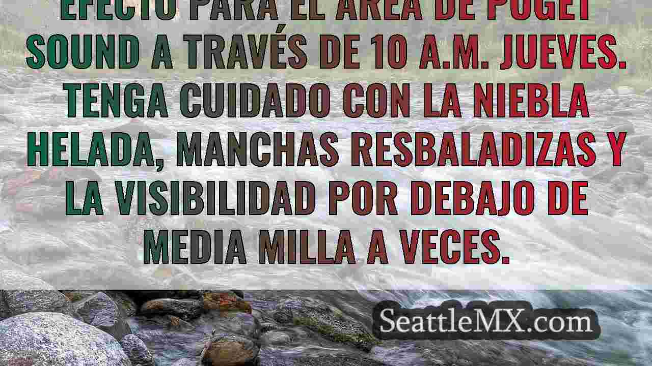 Noticias de Seattle SeattleMX