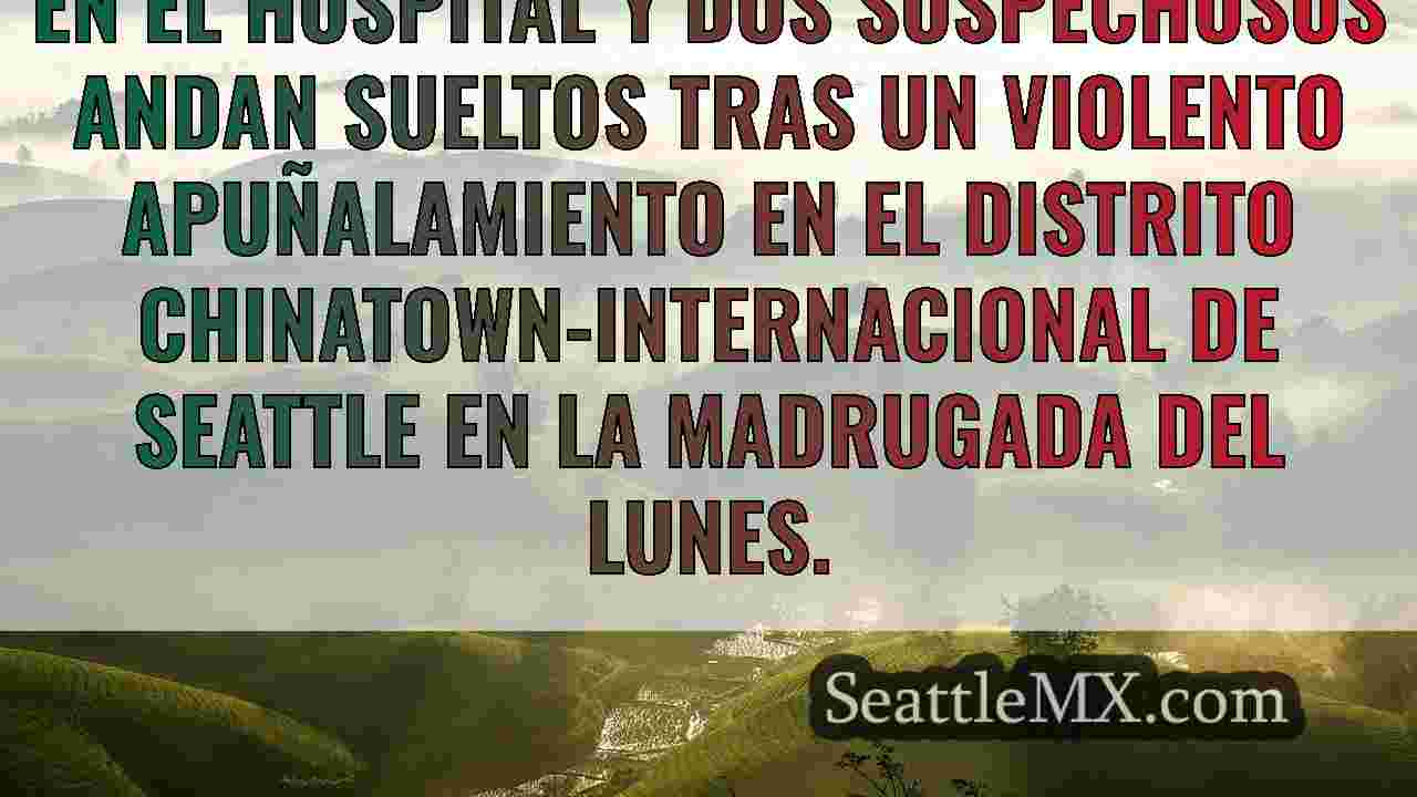 Se buscan 2 sospechosos de