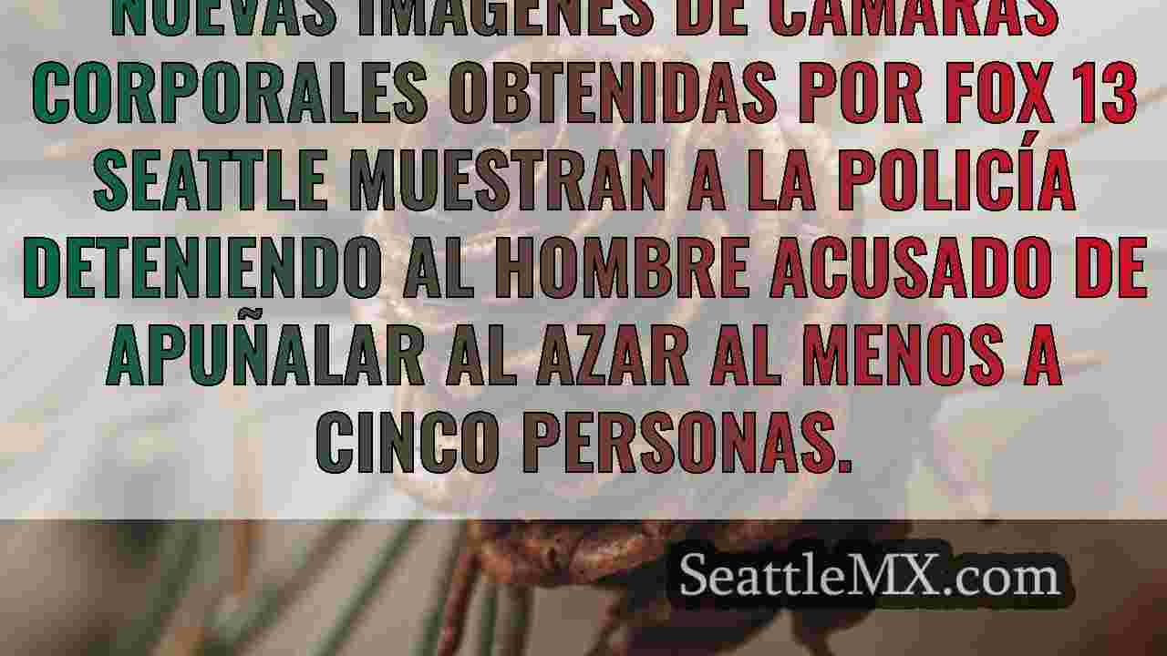 Noticias de Seattle SeattleMX