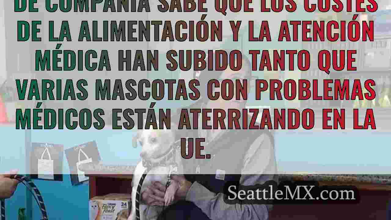Noticias de Seattle SeattleMX