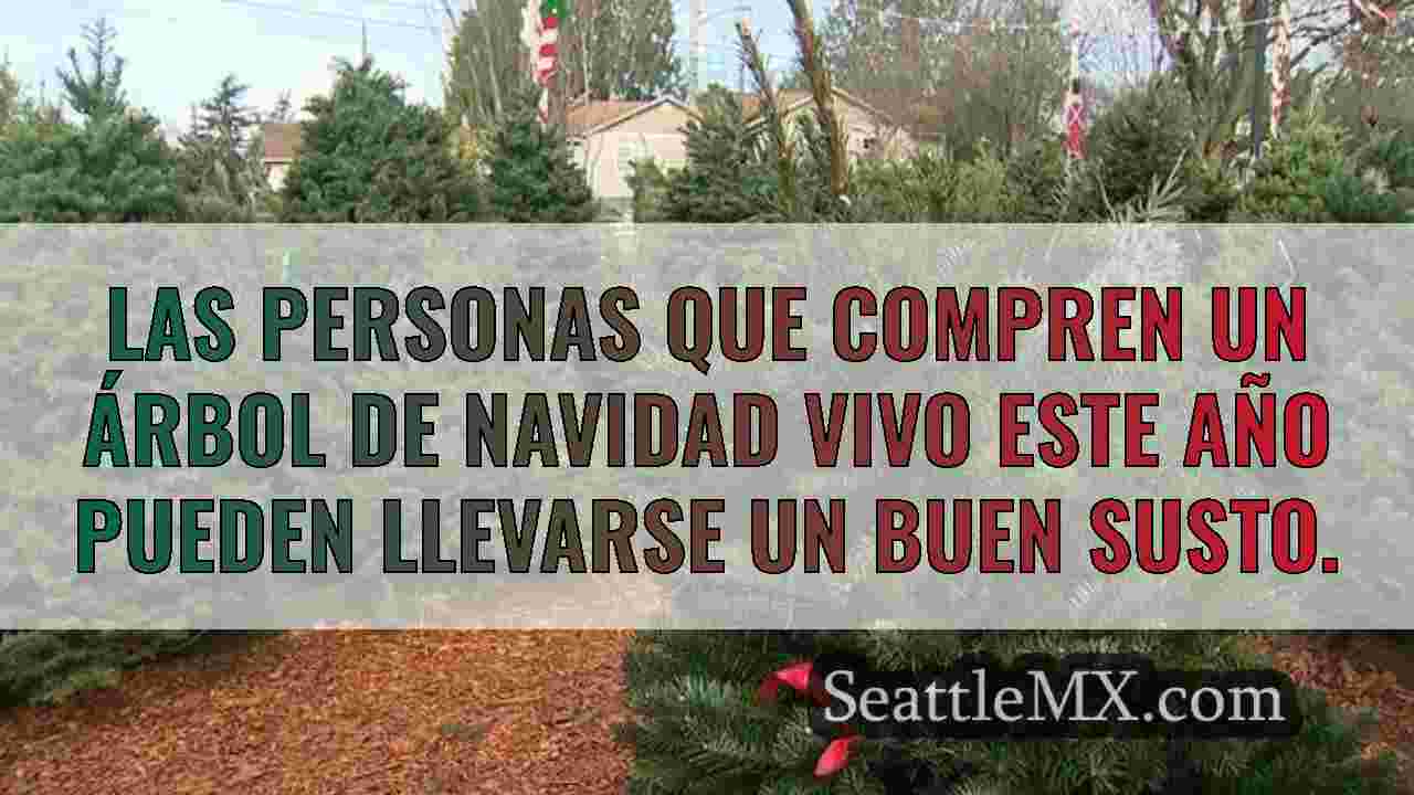 Noticias de Seattle SeattleMX