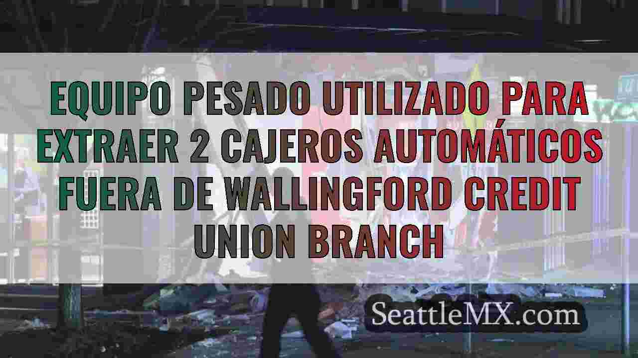 Equipo pesado utilizado para extraer 2