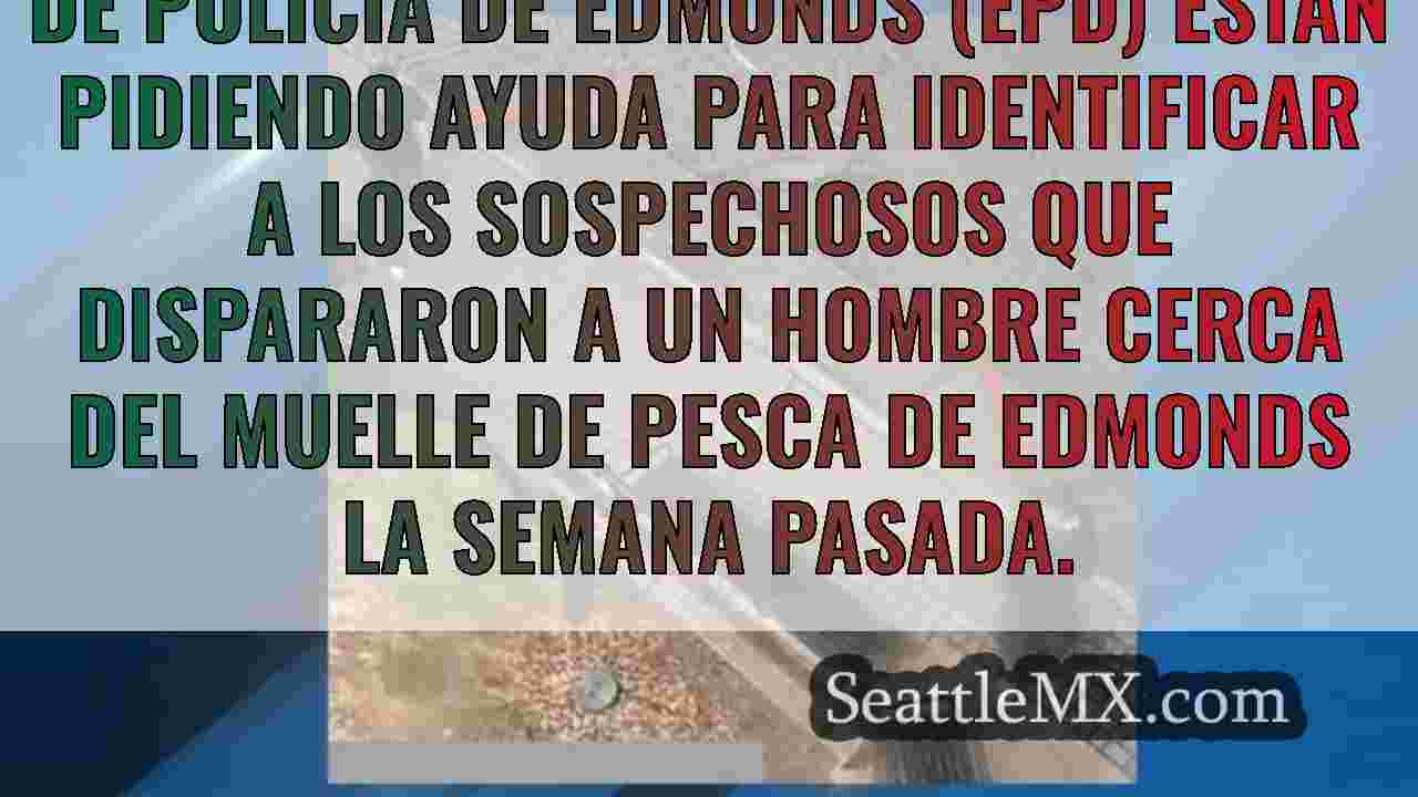Noticias de Seattle SeattleMX