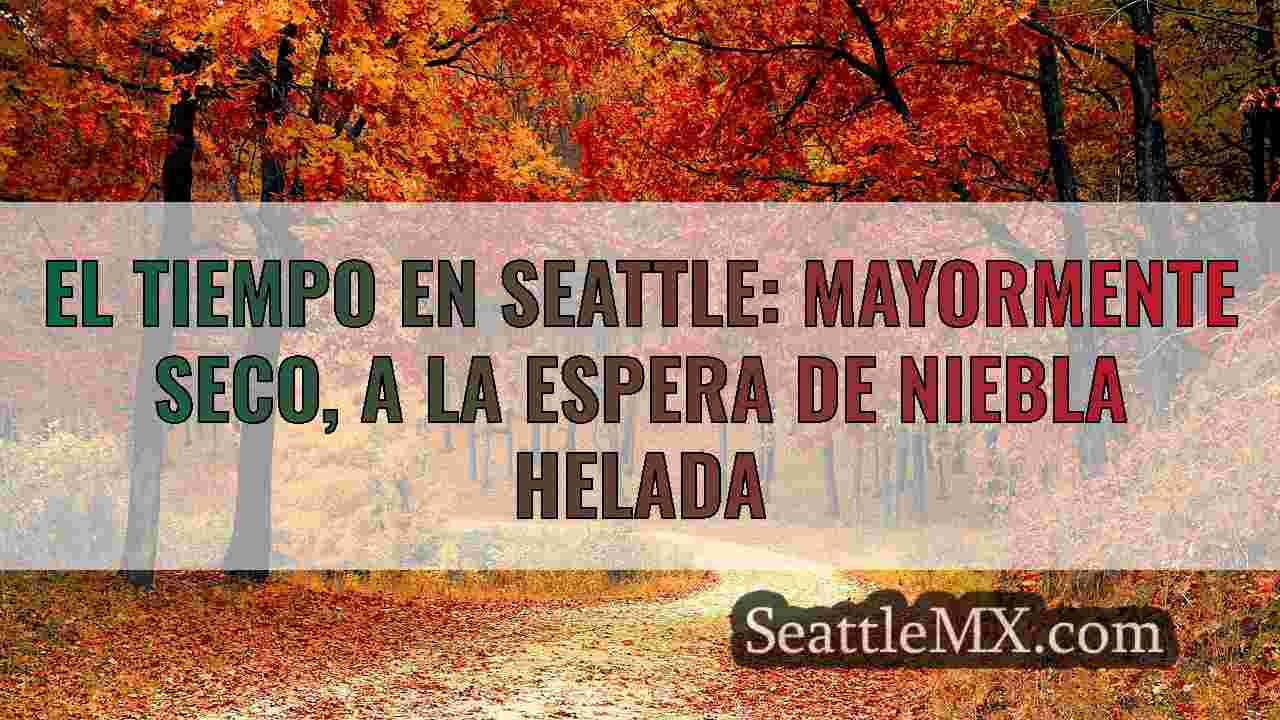 Noticias de Seattle SeattleMX