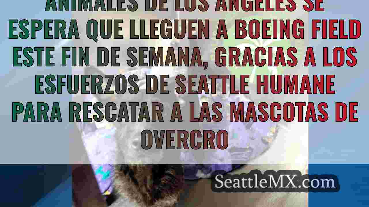 Noticias de Seattle SeattleMX