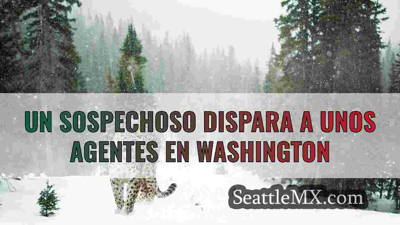 Noticias de Seattle SeattleMX