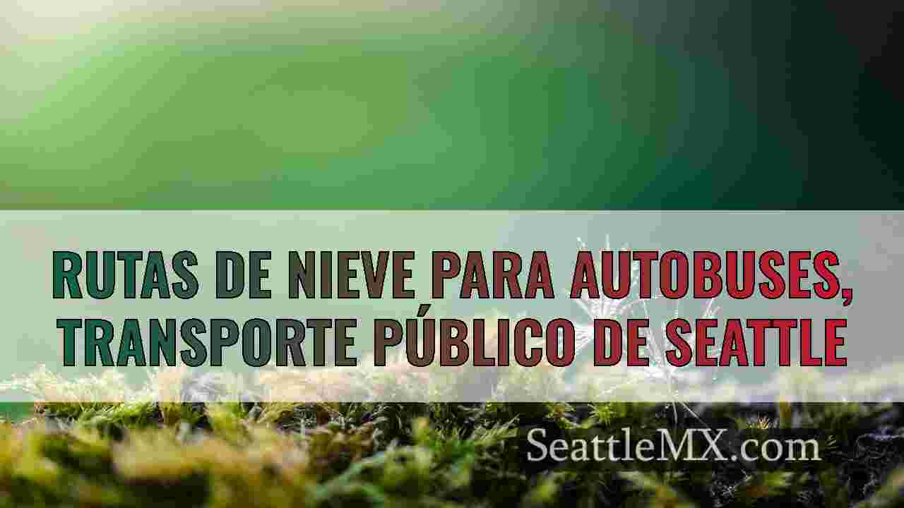 Noticias de Seattle SeattleMX