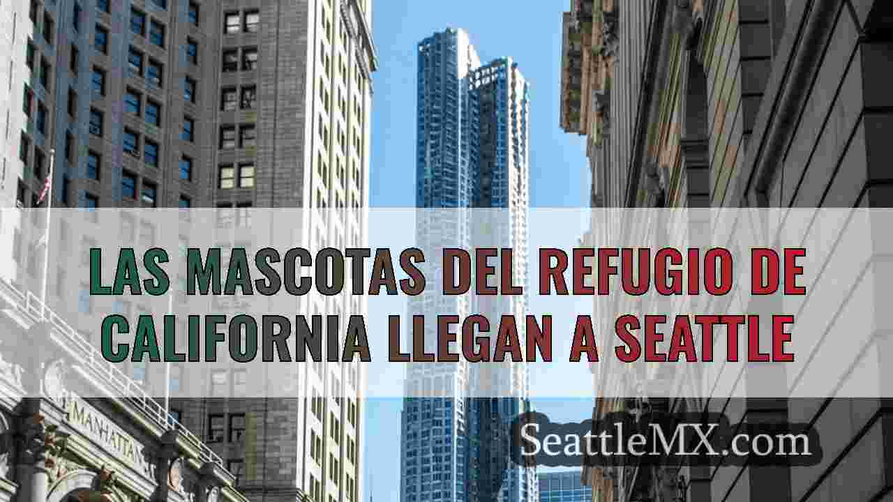 Noticias de Seattle SeattleMX