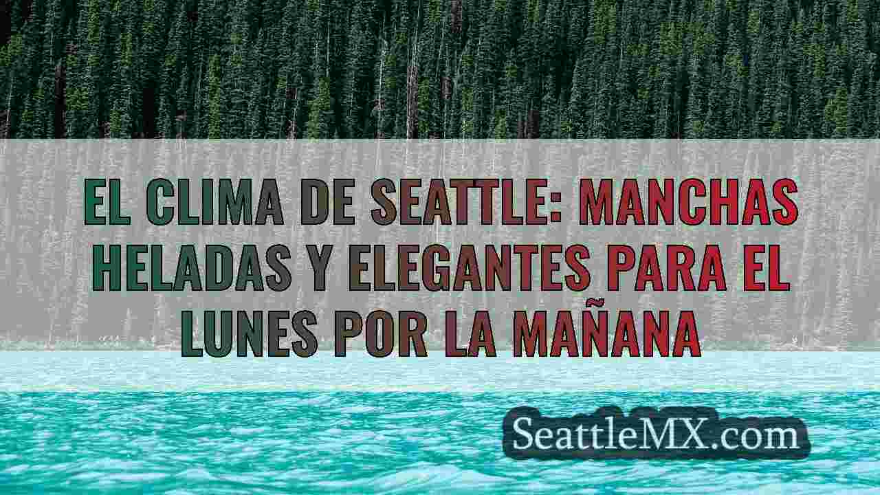 Noticias de Seattle SeattleMX