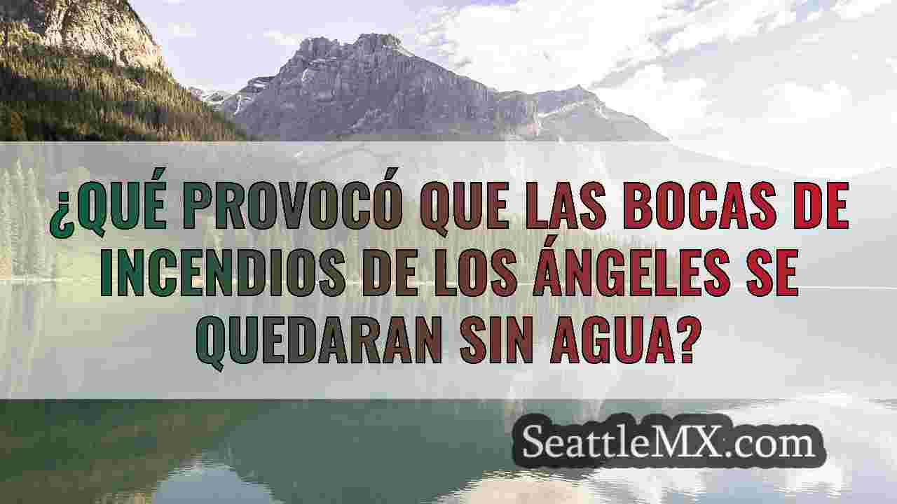 Noticias de Seattle SeattleMX