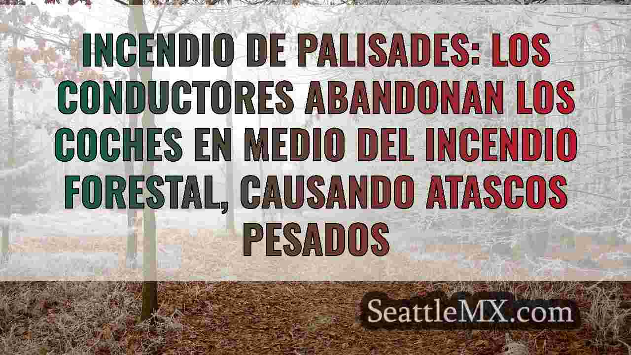 Noticias de Seattle SeattleMX