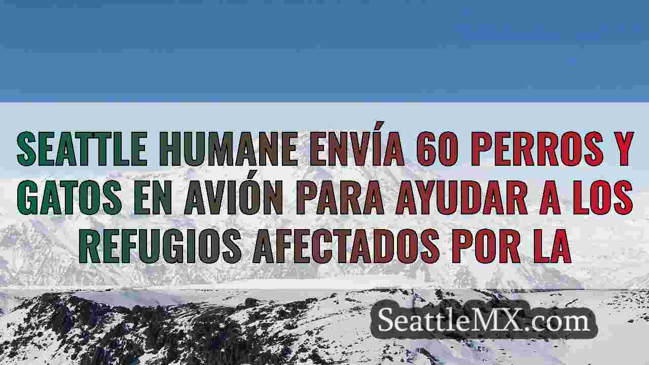 Noticias de Seattle SeattleMX
