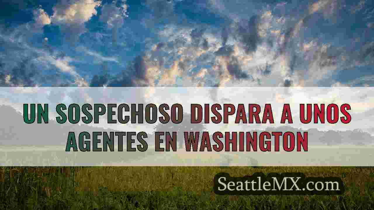 3 detenidos tras disparos a agentes y