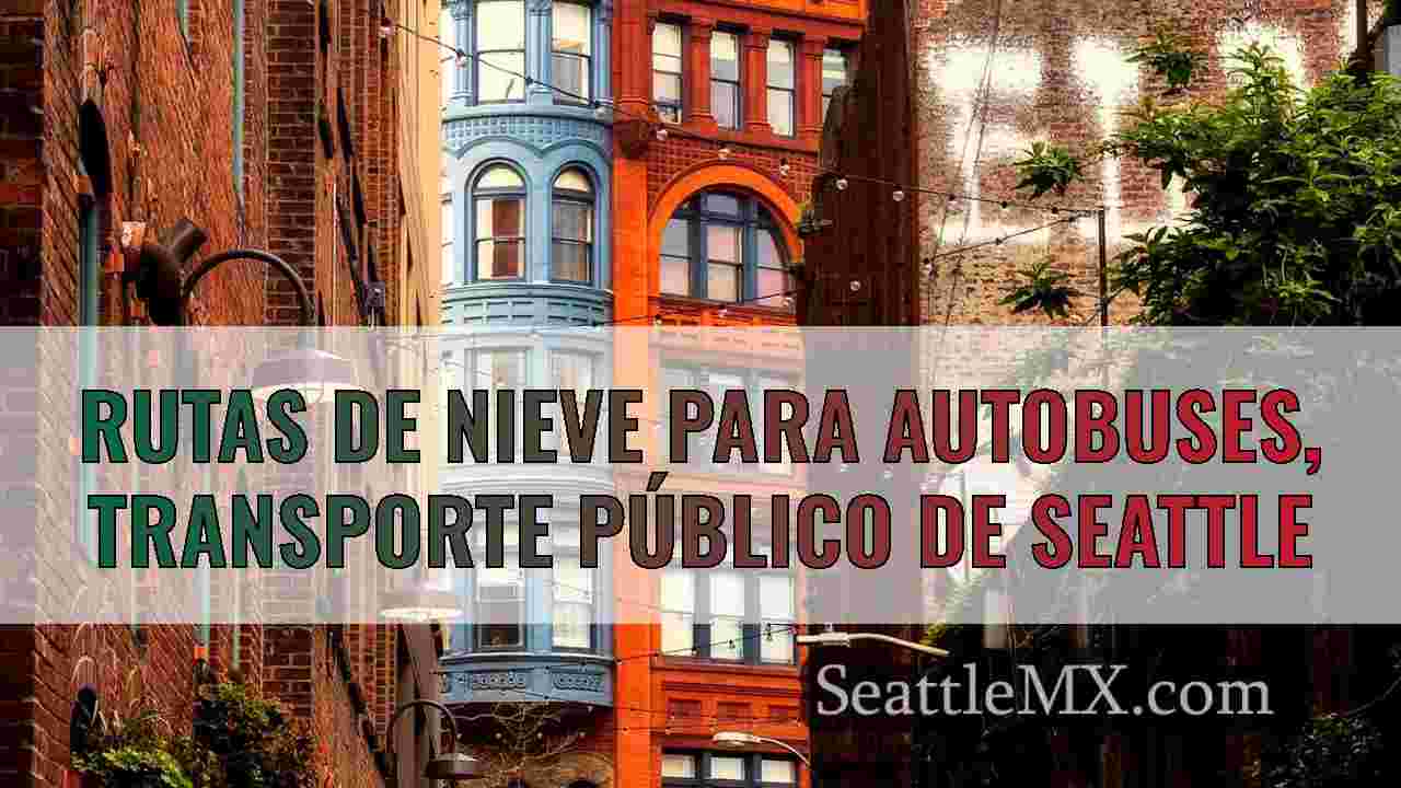 Rutas de nieve para autobuses,