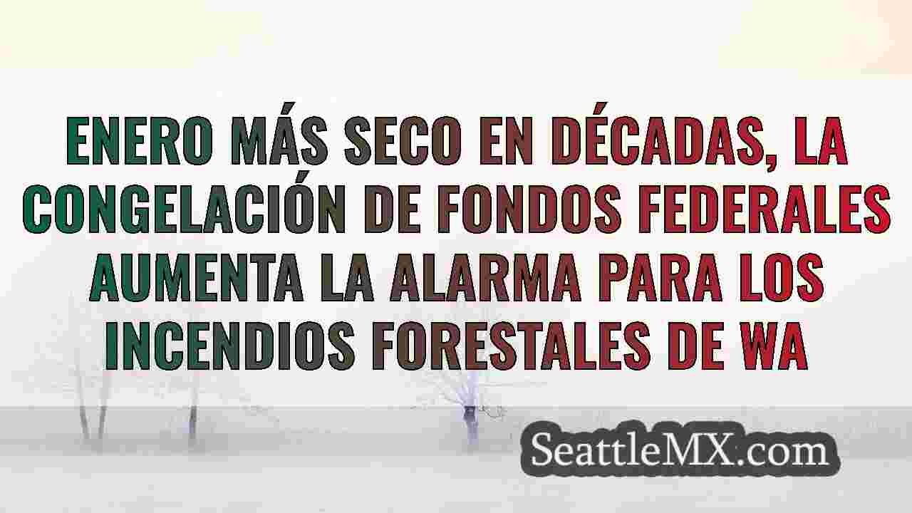 Noticias de Seattle SeattleMX